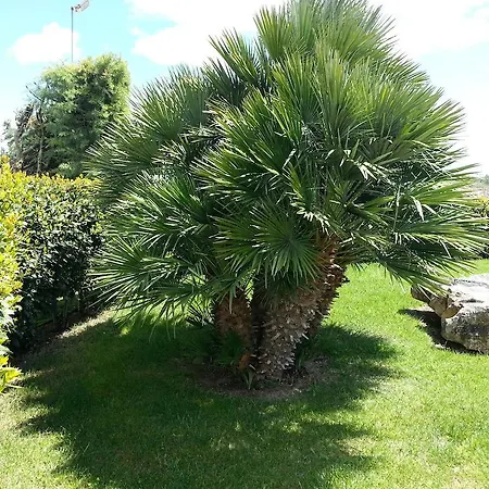 Genny ベッド・アンド・ブレックファスト 4*